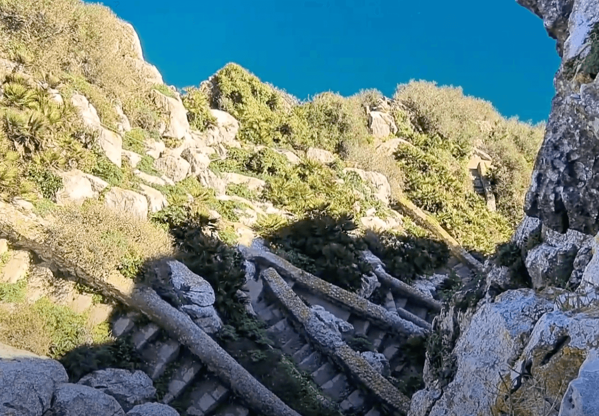 ver mediterranean steps gibraltar